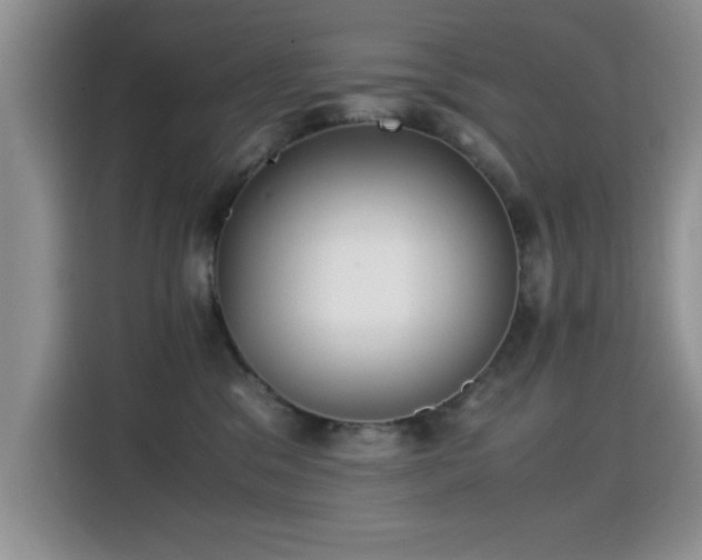 X0000115300329200911091017