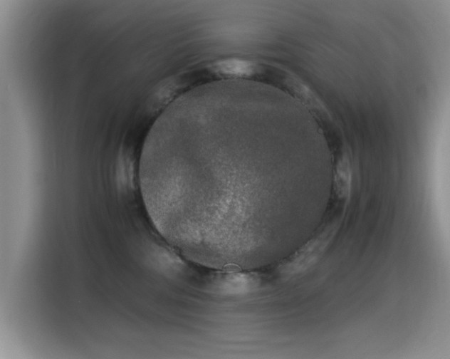 X0000115300330200911091017
