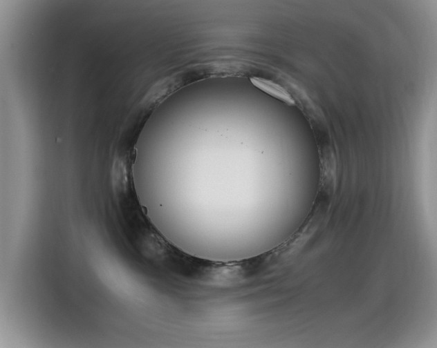 X0000115300333200911091017