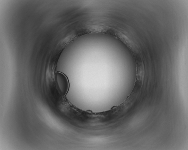 X0000115300334200911091017