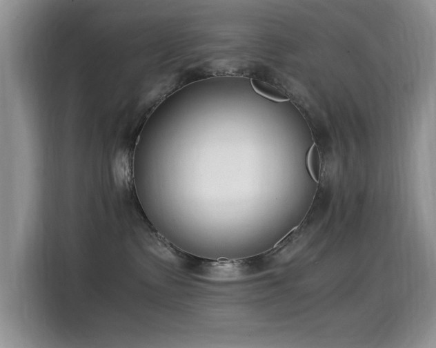 X0000115300335200911091017
