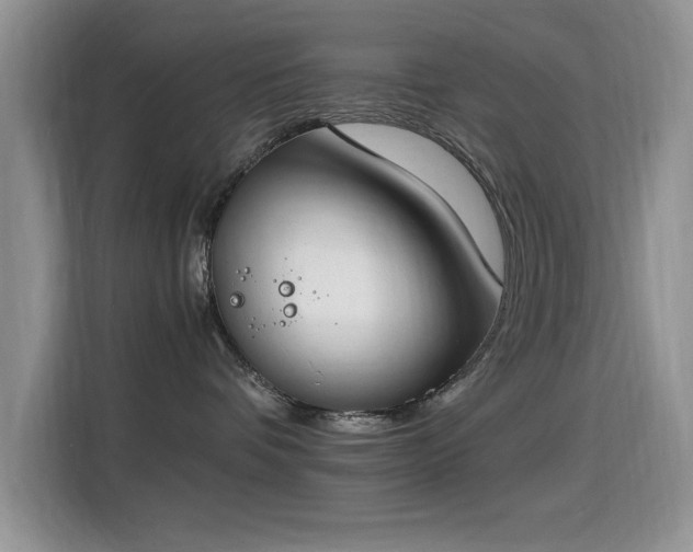 X0000115300336200911091017