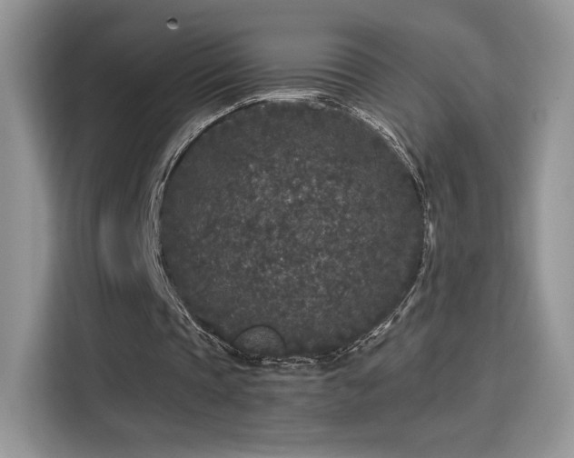 X0000115300337200911091016