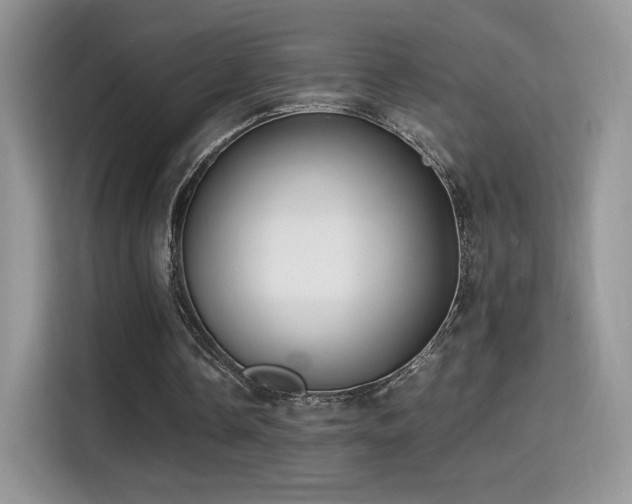 X0000115300338200911091016