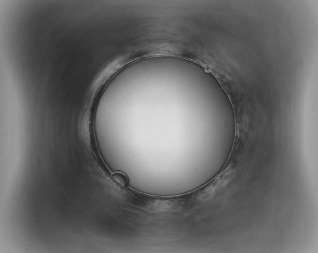 X0000115300341200911091016