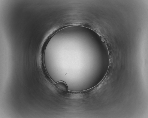 X0000115300342200911091016