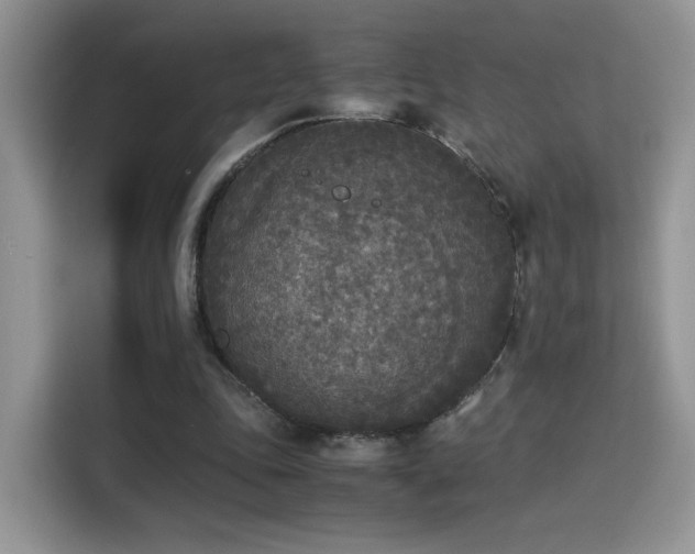 X0000115300343200911091016