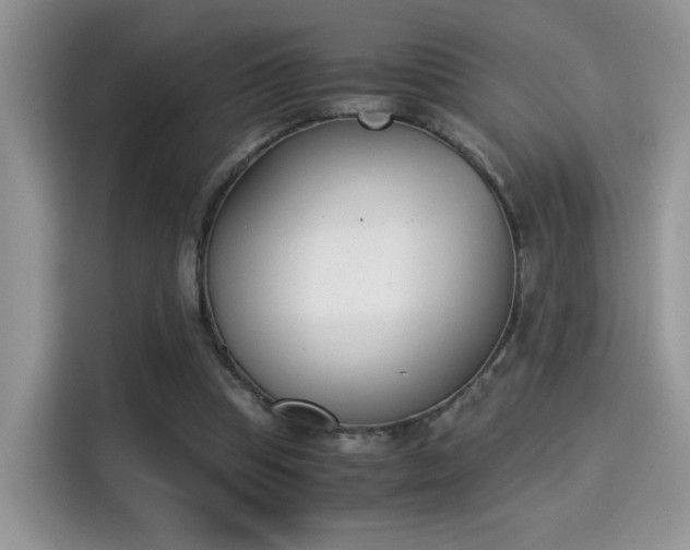 X0000115300345200911091016