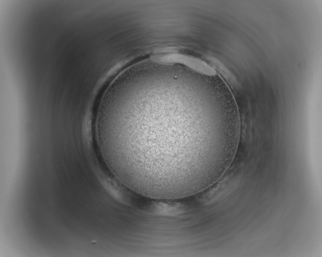 X0000115300346200911091016