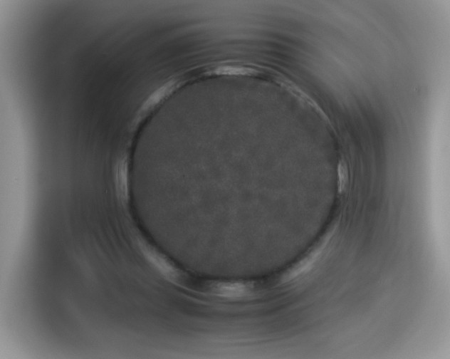 X0000115300349200911091016