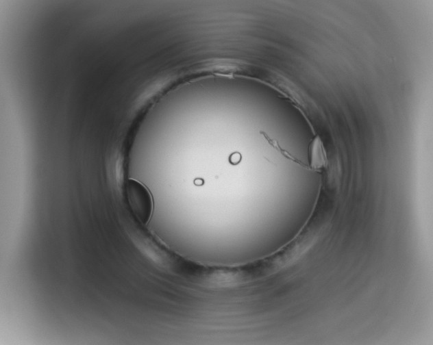 X0000115300350200911091016