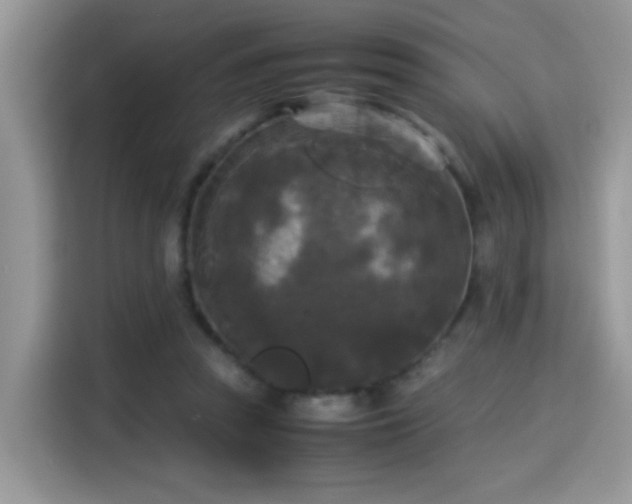 X0000115300353200911091016