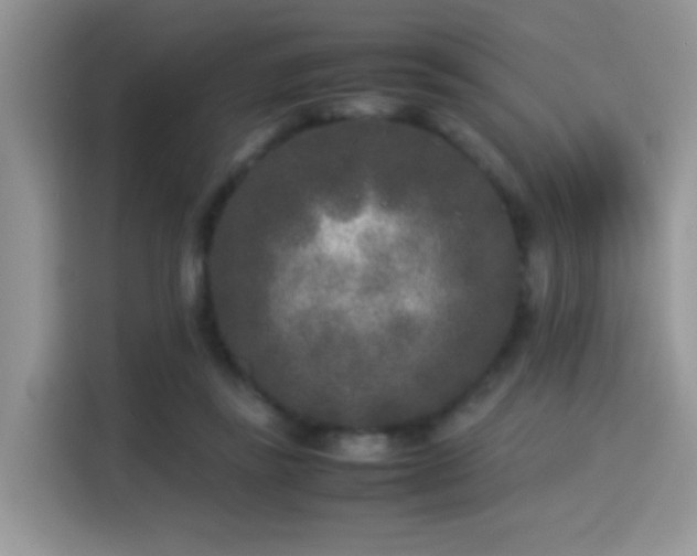 X0000115300355200911091016