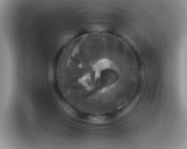 X0000115300359200911091017