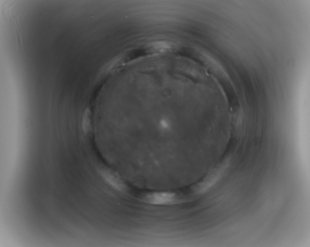 X0000115300361200911091017