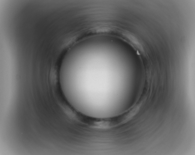 X0000115300362200911091017