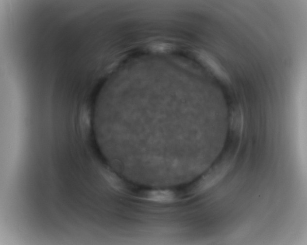 X0000115300363200911091017