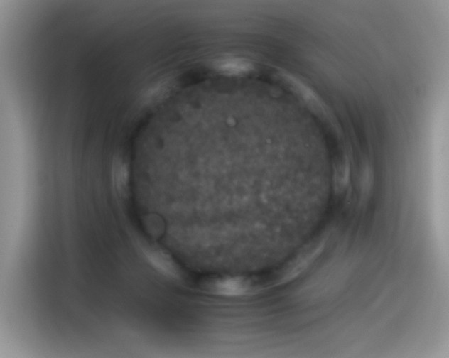 X0000115300365200911091017