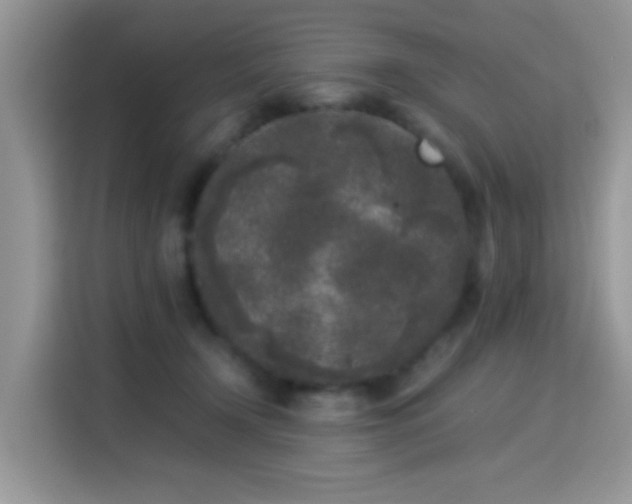X0000115300366200911091017