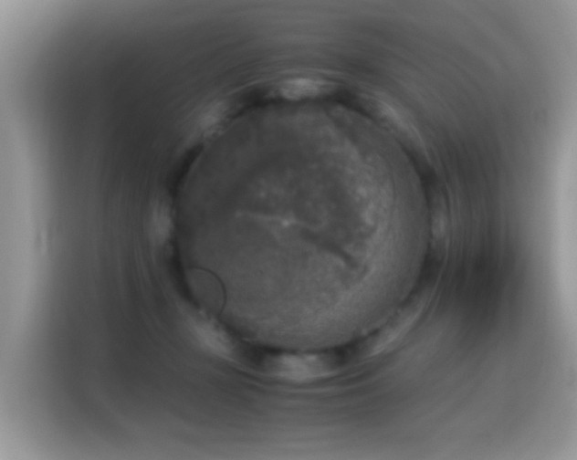 X0000115300367200911091017