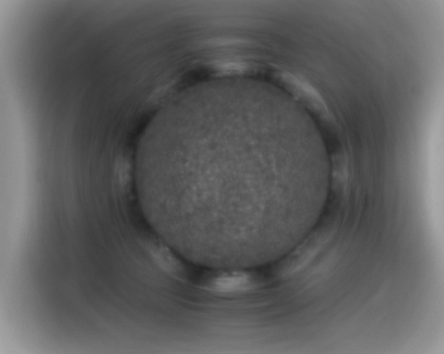 X0000115300369200911091017