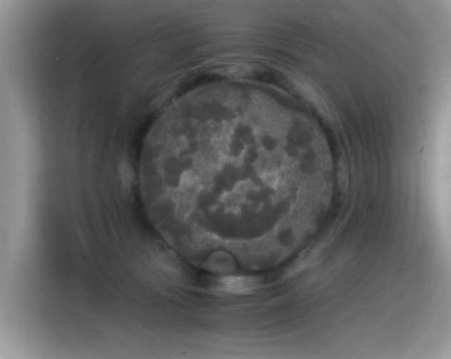 X0000115300371200911091017