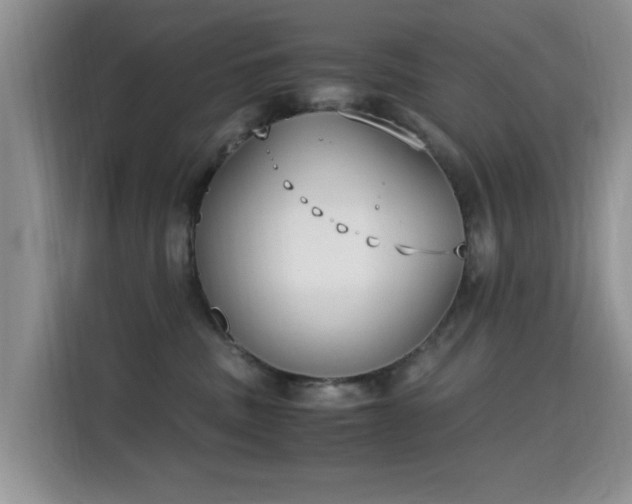 X0000115300379200911091017