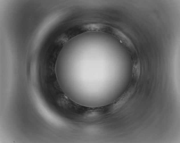 X0000115300381200911091017
