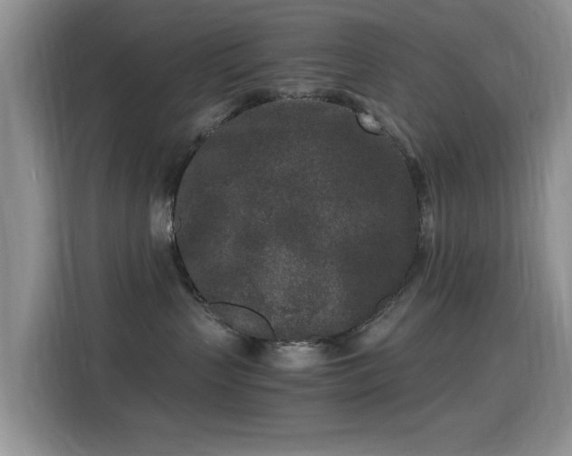 X0000115300383200911091017