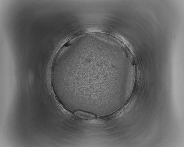 X0000115300385200911091016
