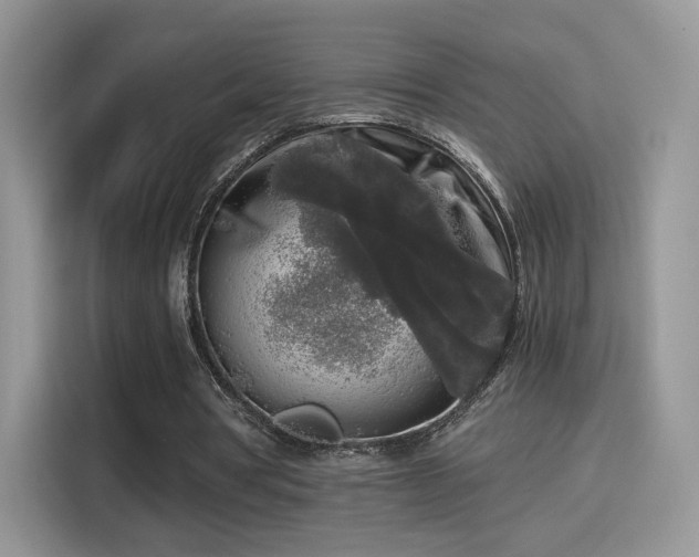 X0000115300386200911091016