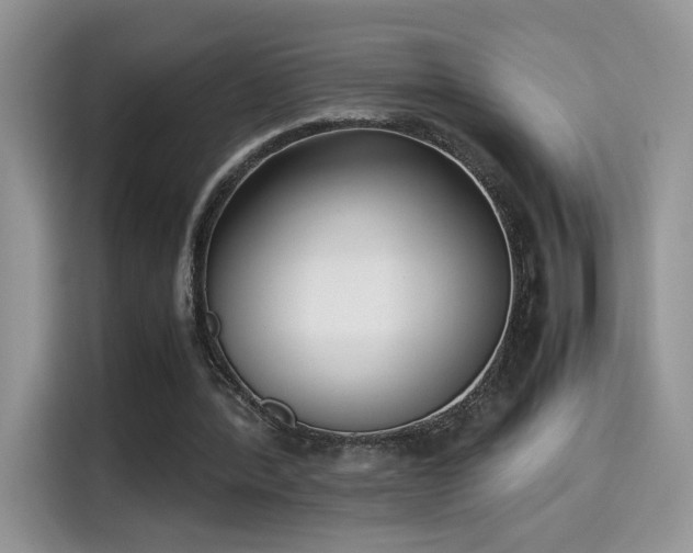 X0000115300388200911091016