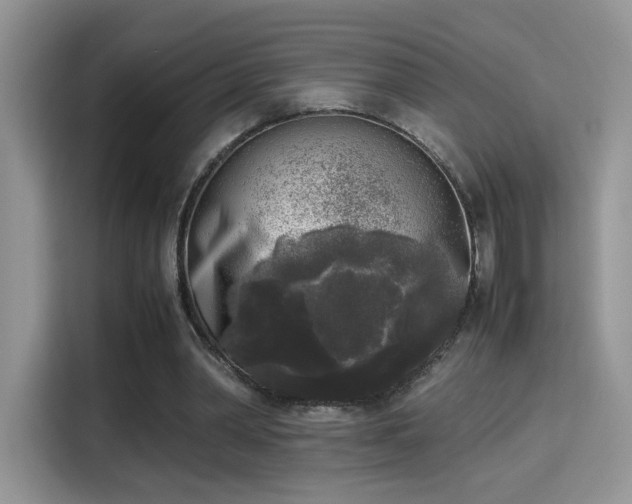 X0000115300390200911091016