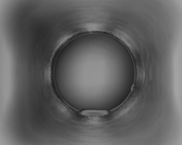 X0000115300391200911091016