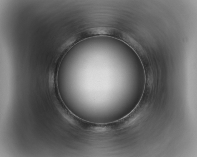 X0000115300394200911091016