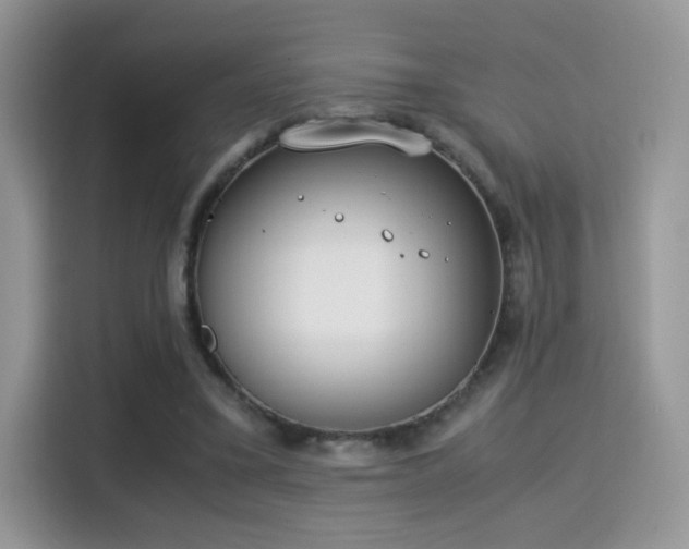 X0000115300395200911091016