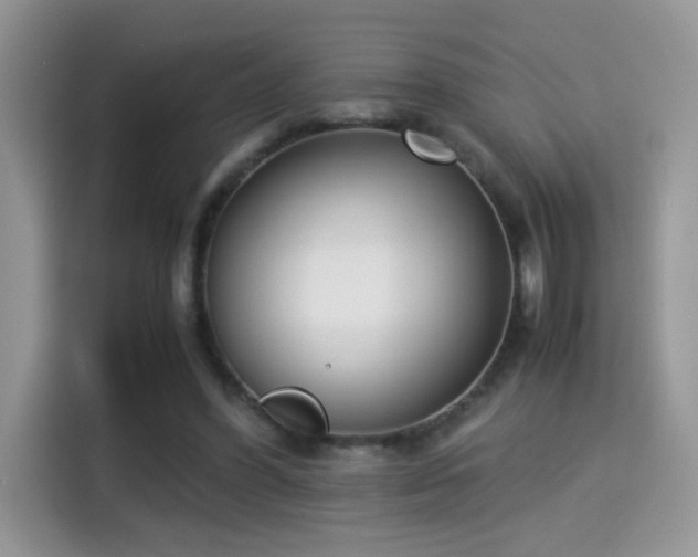 X0000115300396200911091016