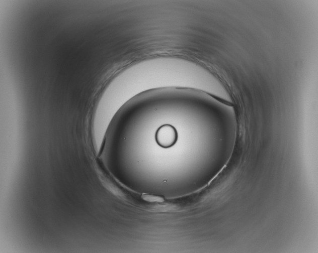 X0000115300397200911091016