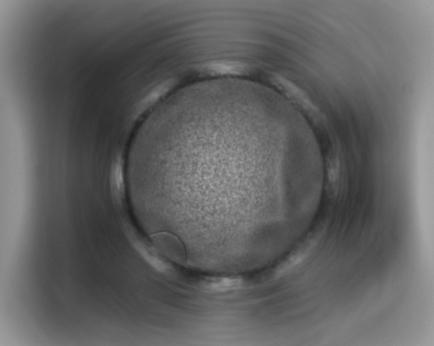 X0000115300398200911091016
