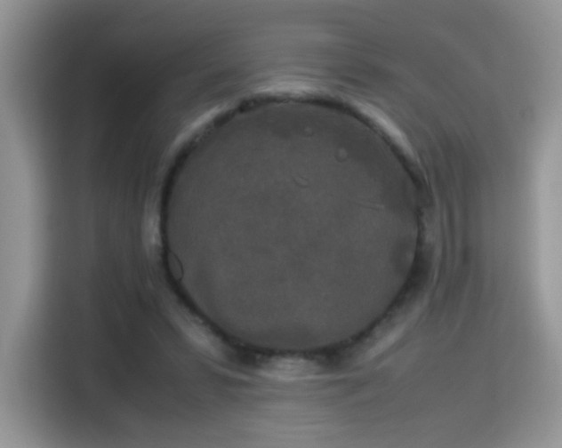 X0000115300399200911091016