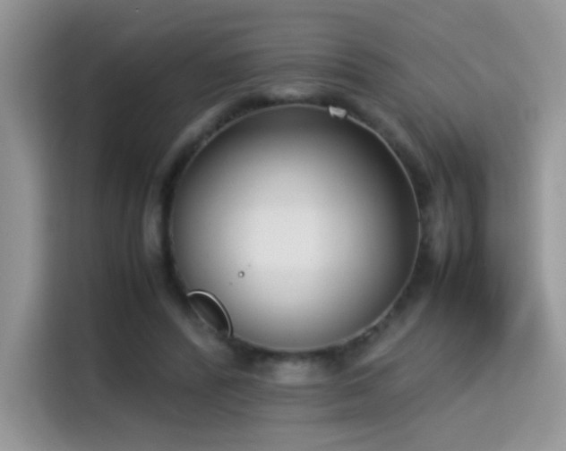 X0000115300400200911091016