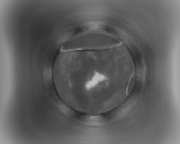 X0000115300401200911091016