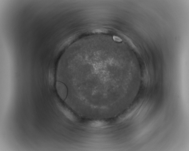 X0000115300402200911091016