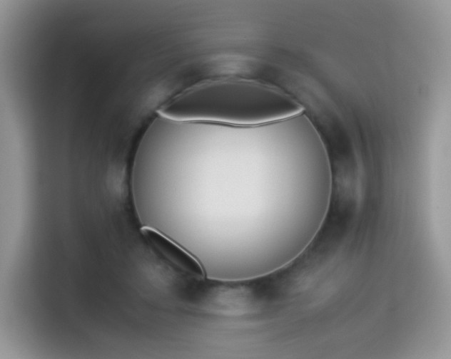 X0000115300403200911091016