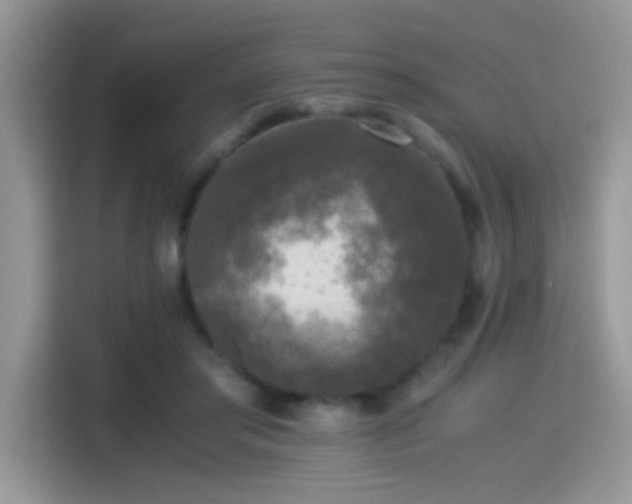 X0000115300405200911091016