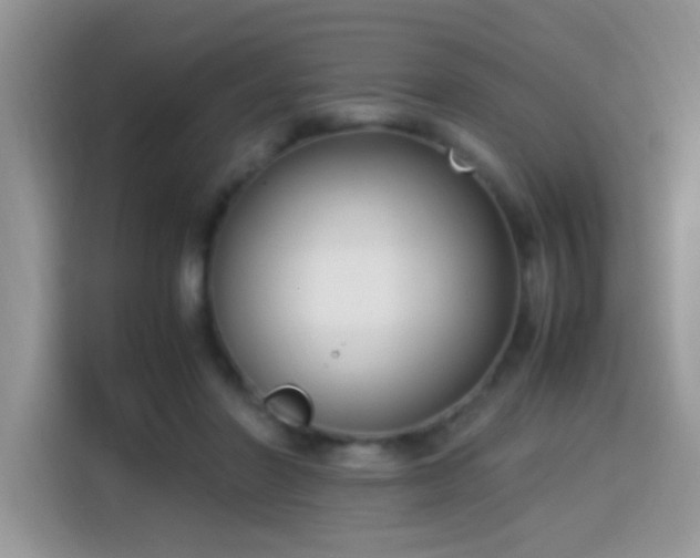 X0000115300406200911091016