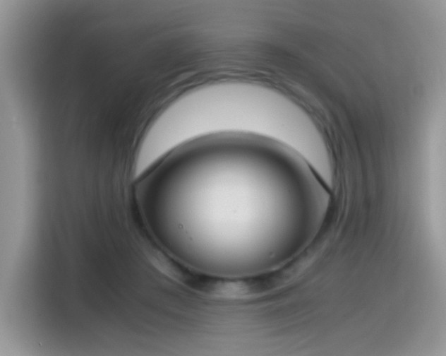 X0000115300409200911091016