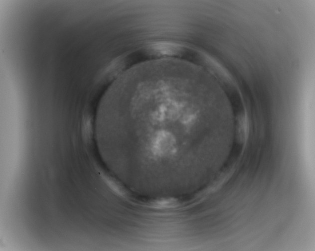 X0000115300410200911091016