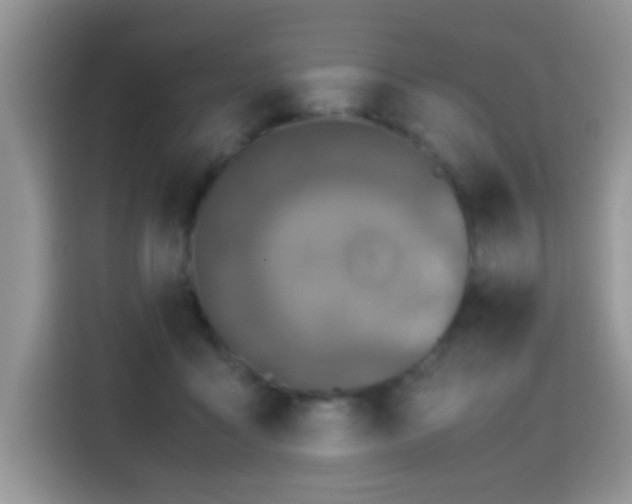 X0000115300411200911091016