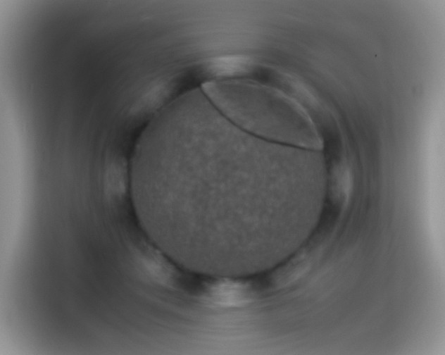 X0000115300413200911091016